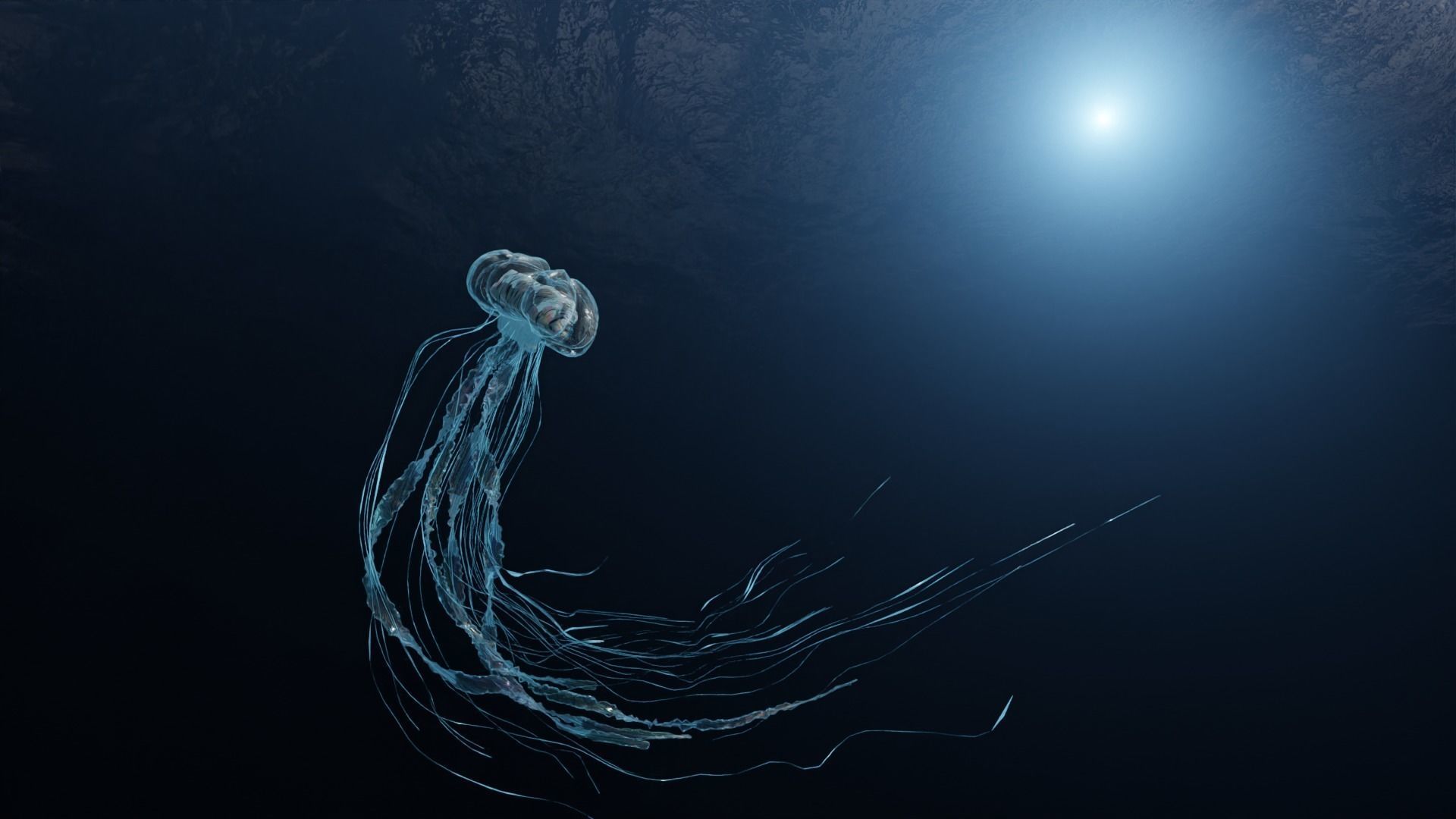 Jellyfish - Rigged 3D model_4