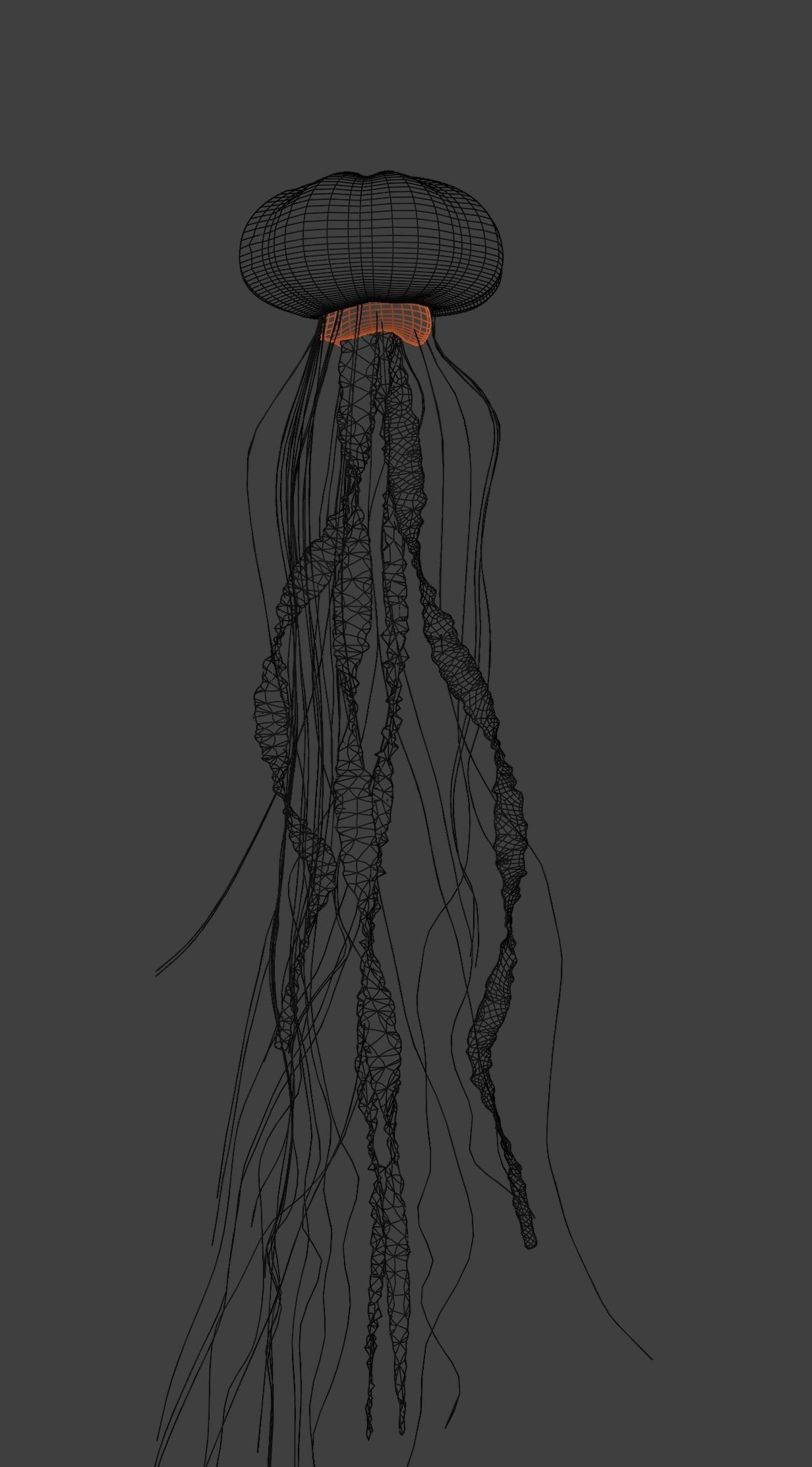 Jellyfish - Rigged 3D model_19