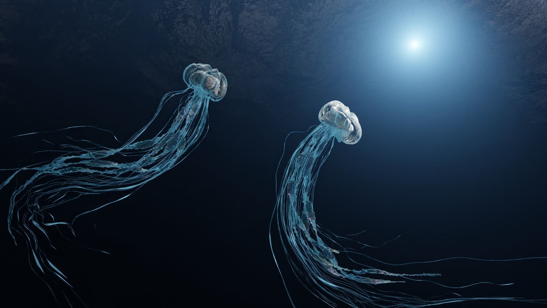 Jellyfish - Rigged 3D model_3
