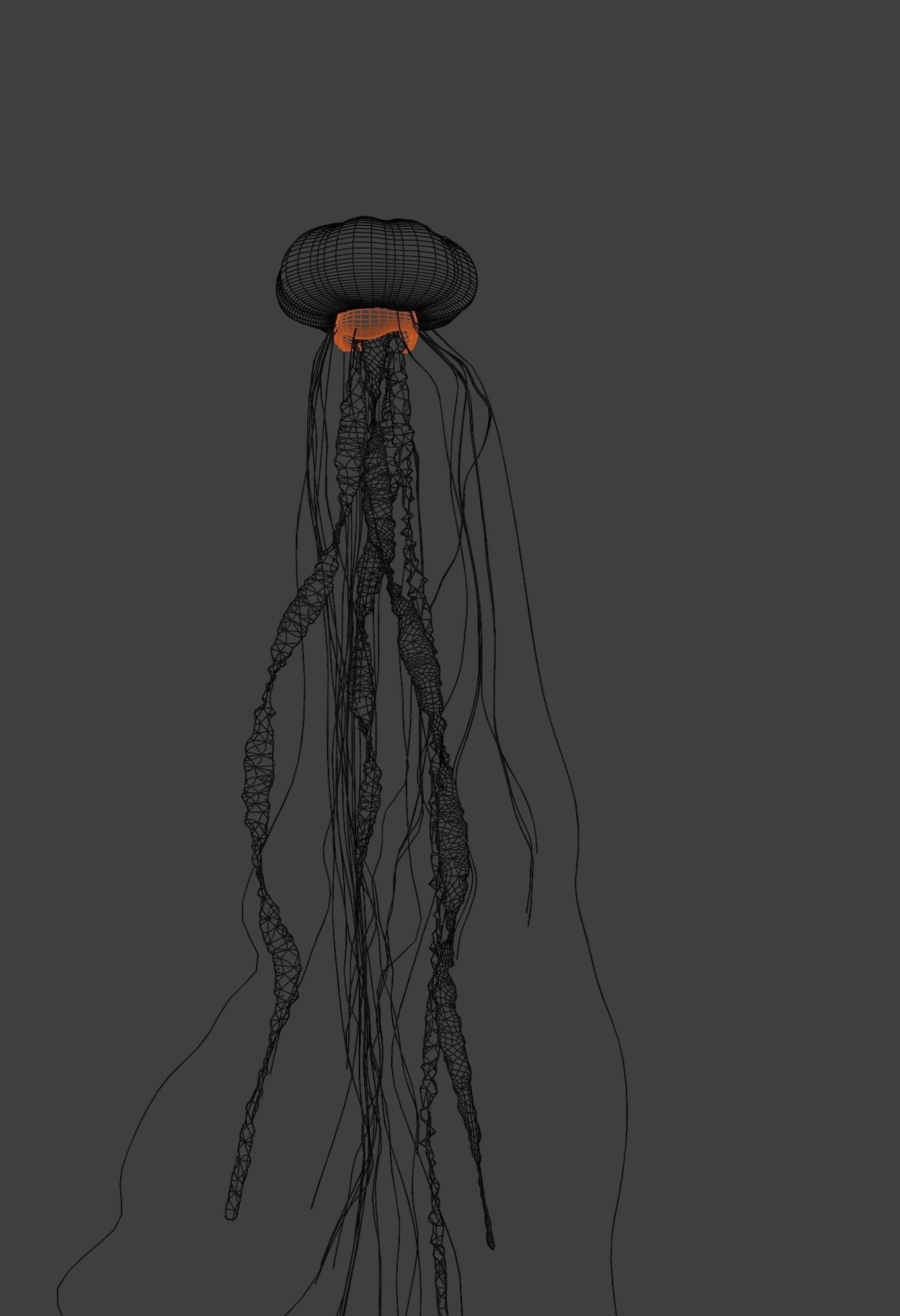 Jellyfish - Rigged 3D model_23