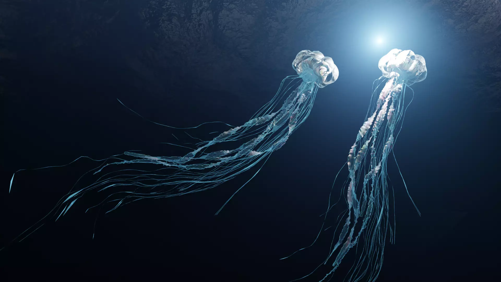 Jellyfish - Rigged 3D model_0