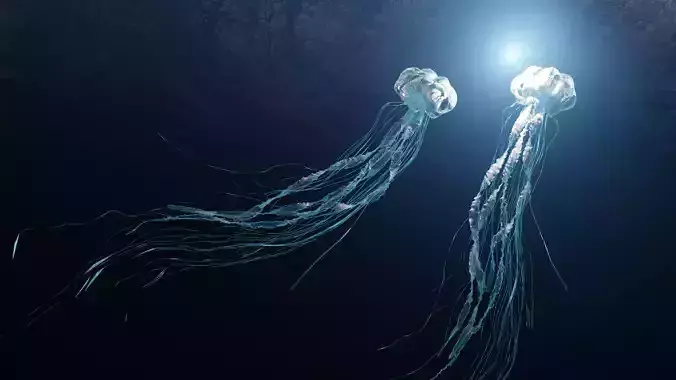 Jellyfish - Rigged 3D model