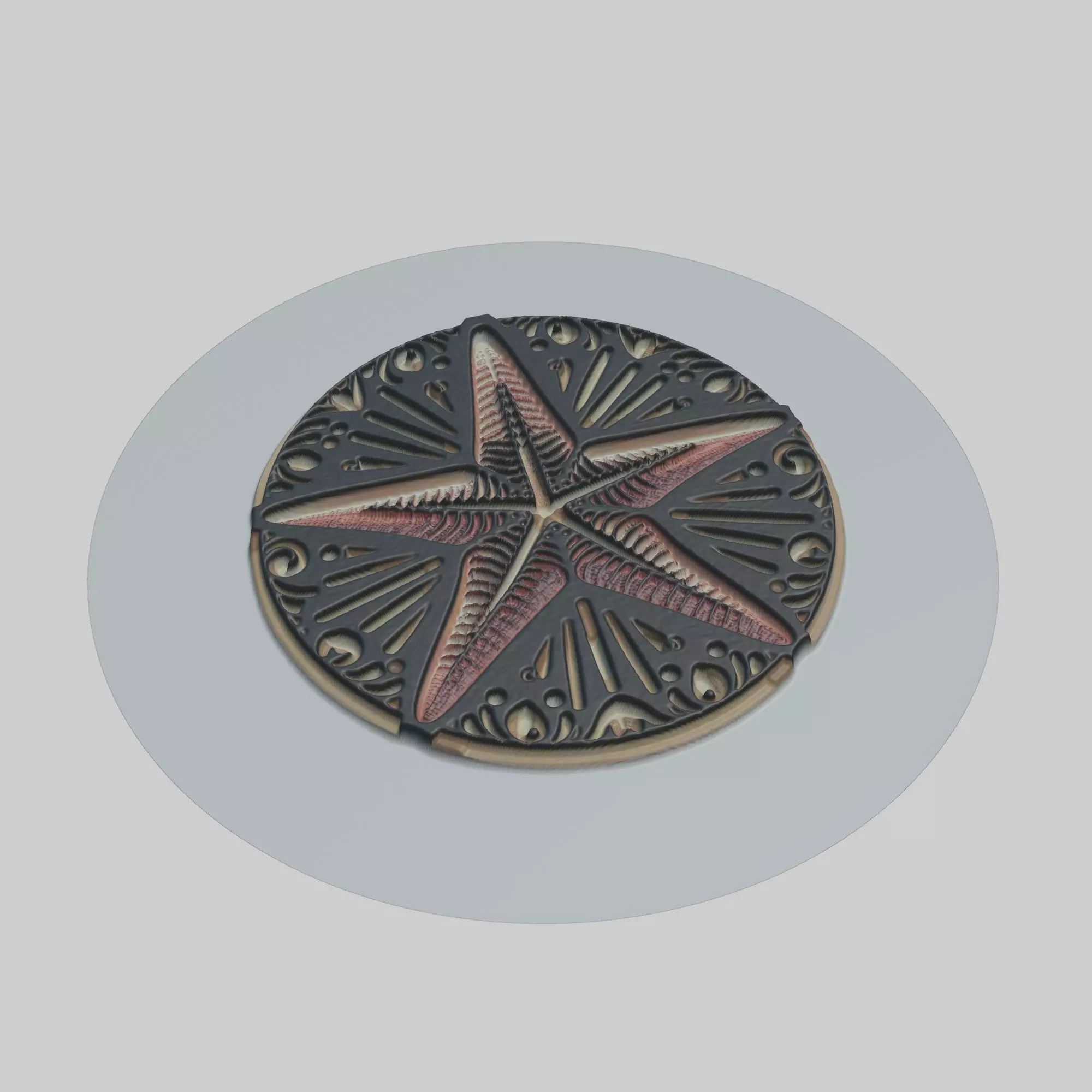 Starfish Animal 3D print model