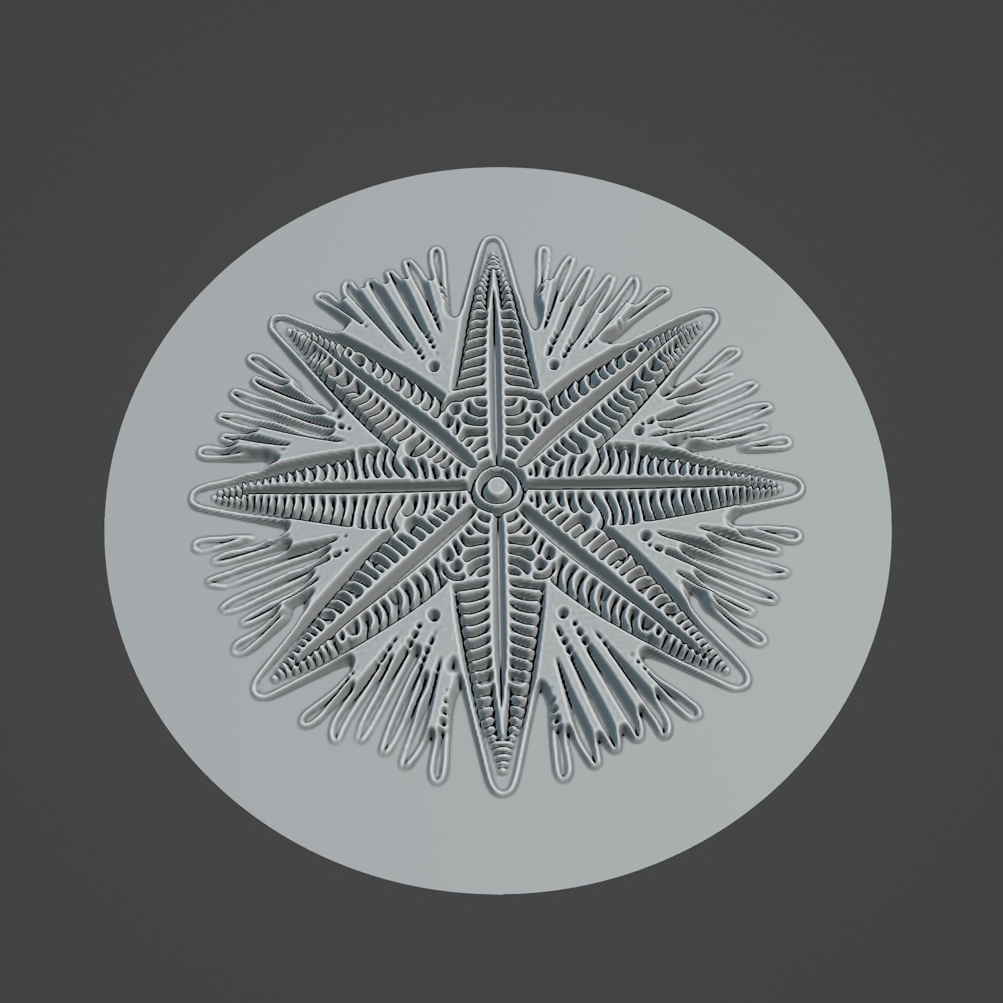 Starfish Animal 3D print model_3