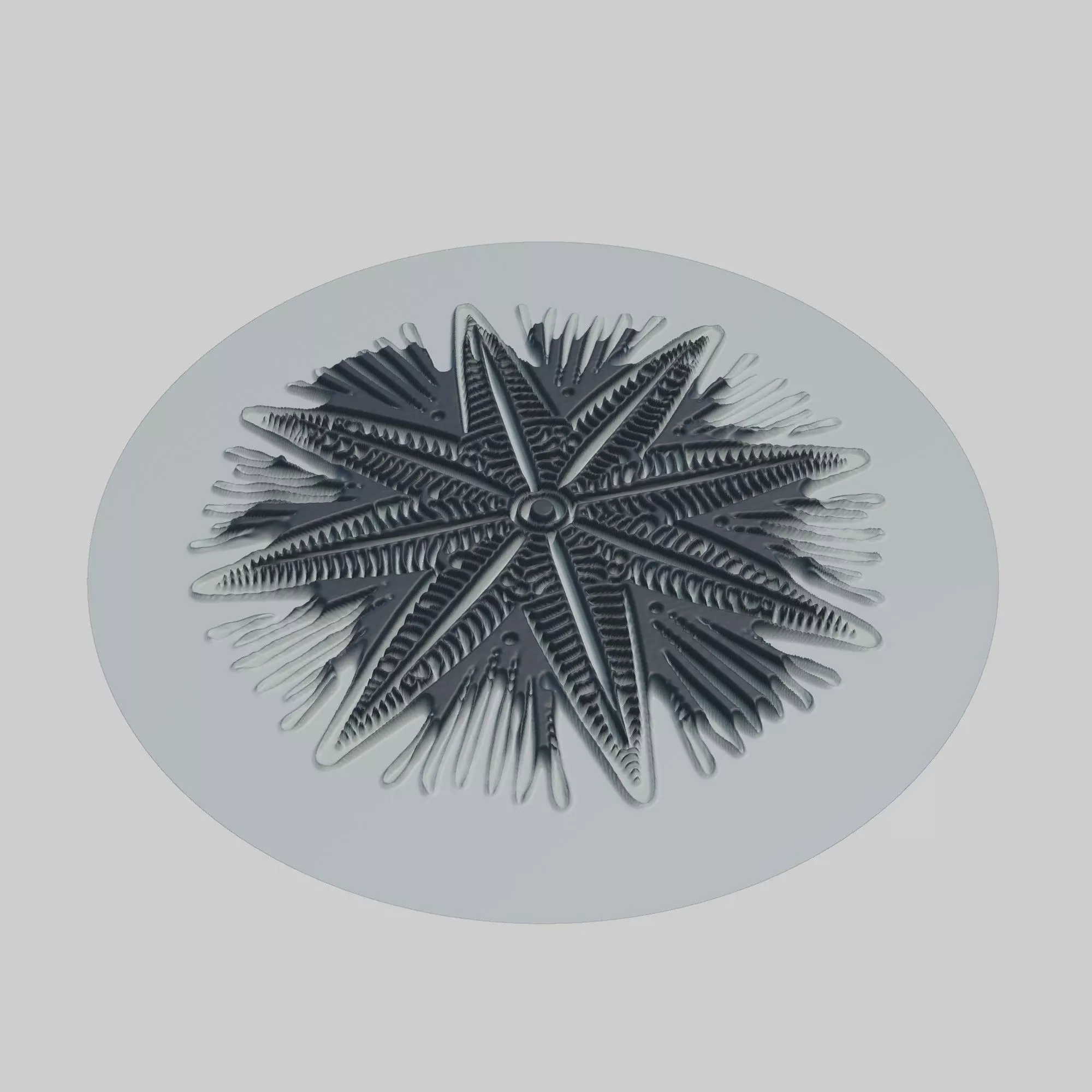 Starfish Animal 3D print model_0