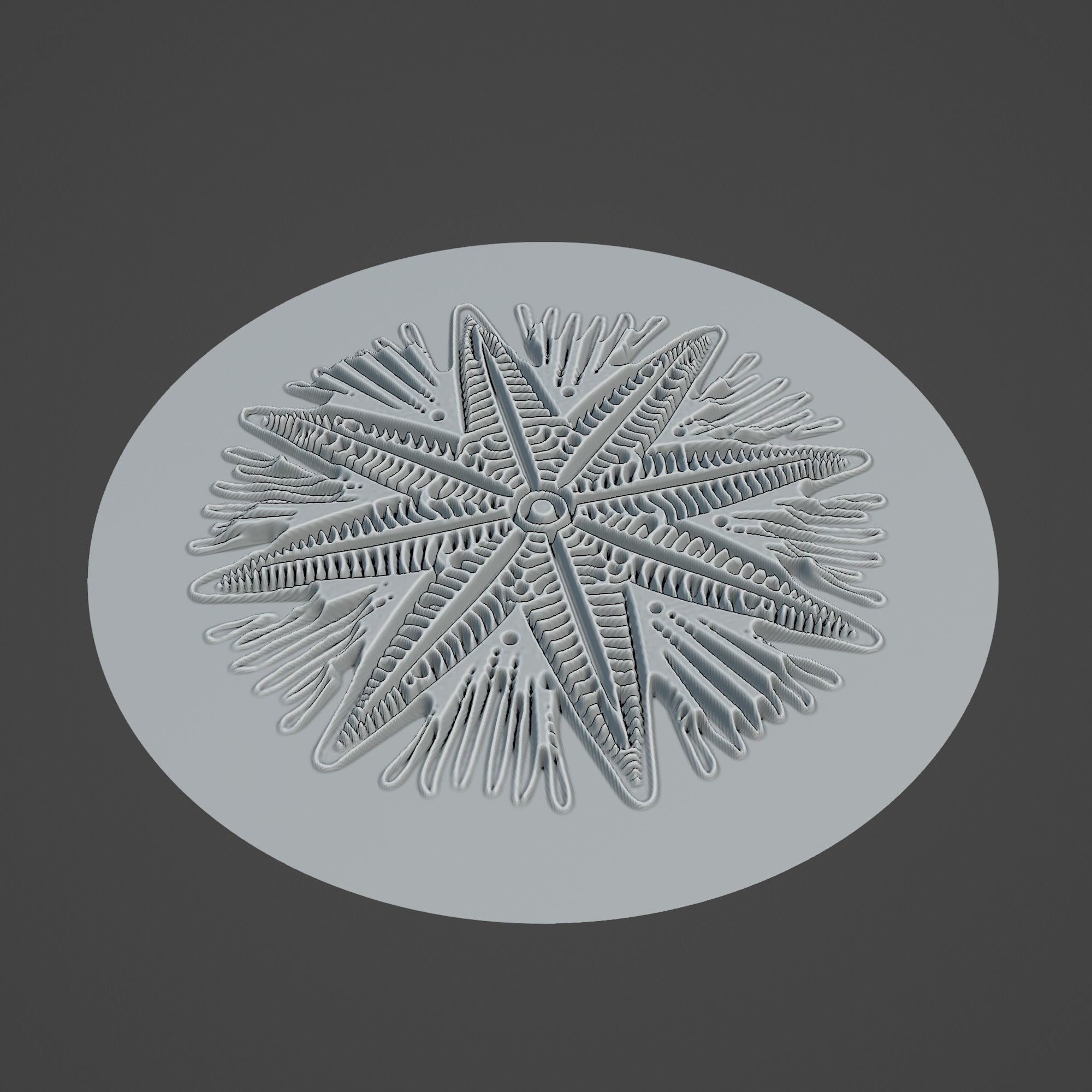 Starfish Animal 3D print model_2