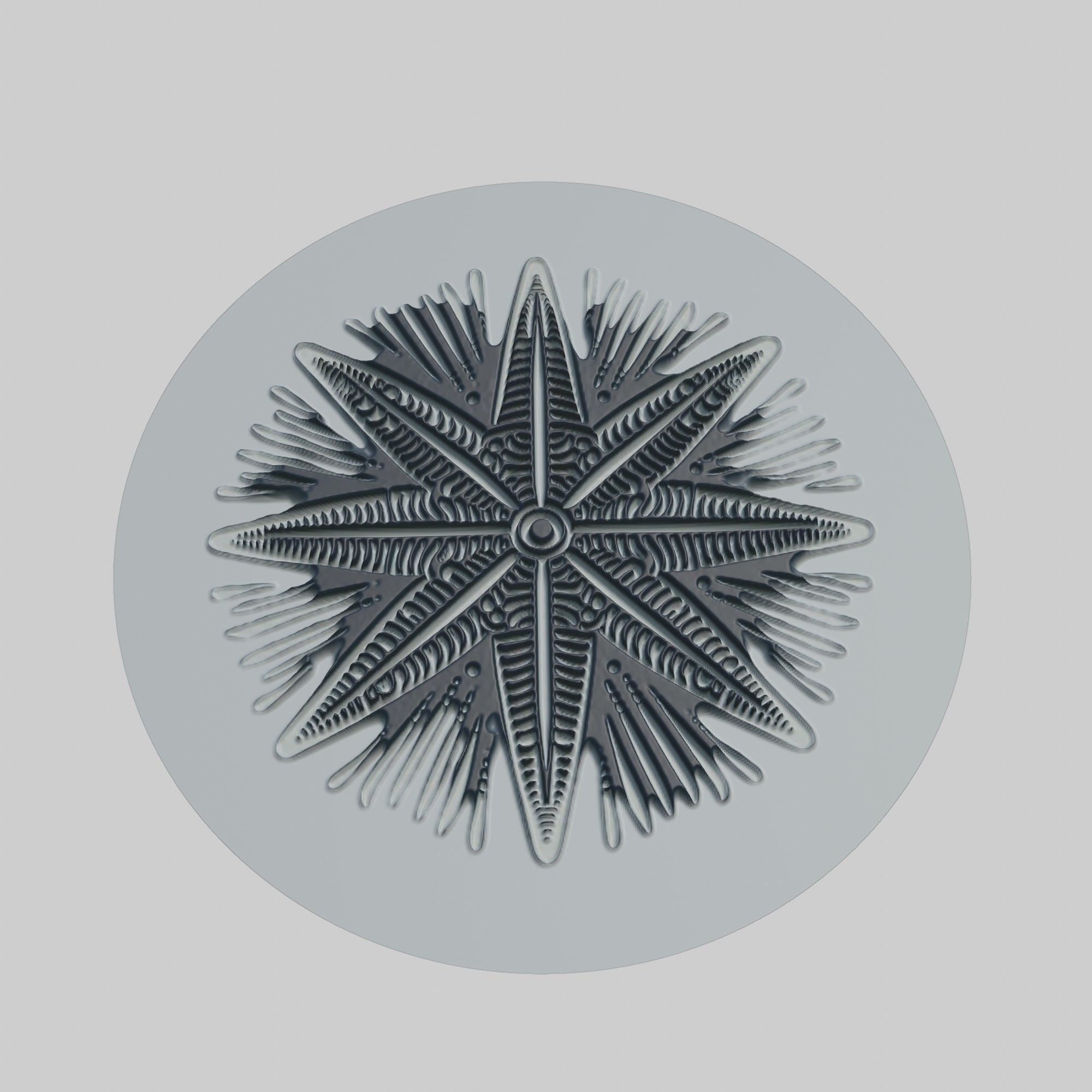 Starfish Animal 3D print model_1