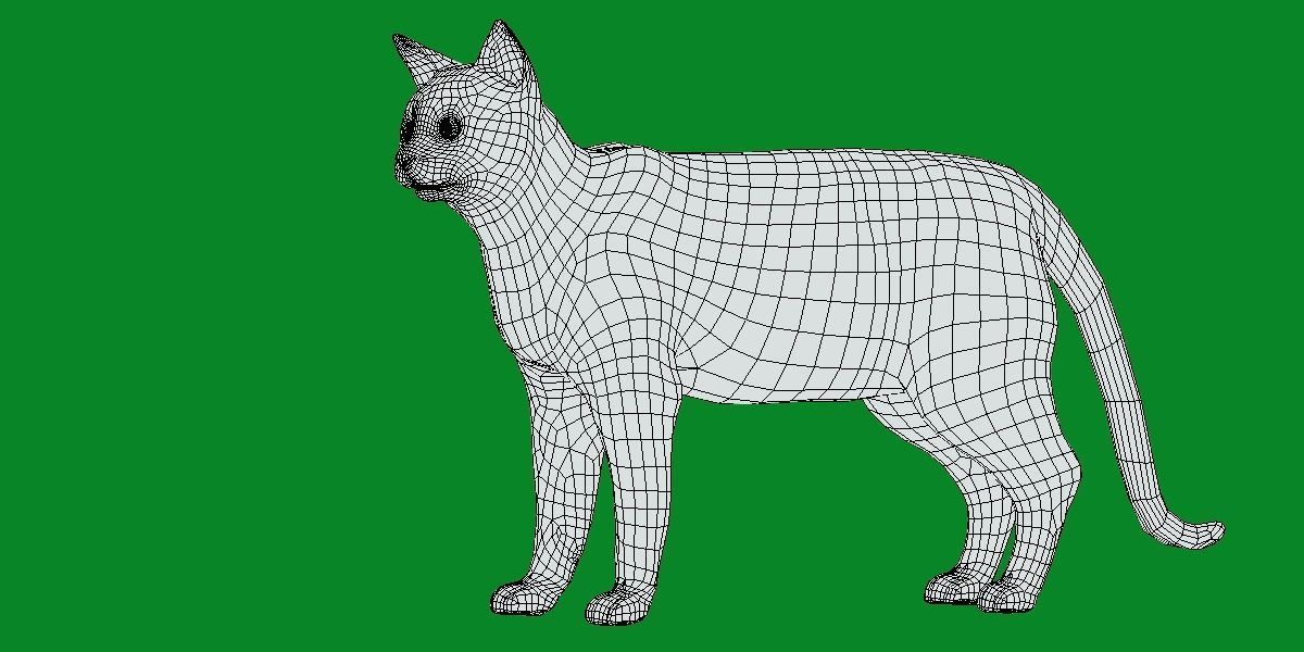 Egyptian Mau Cat Low-poly 3D model_9