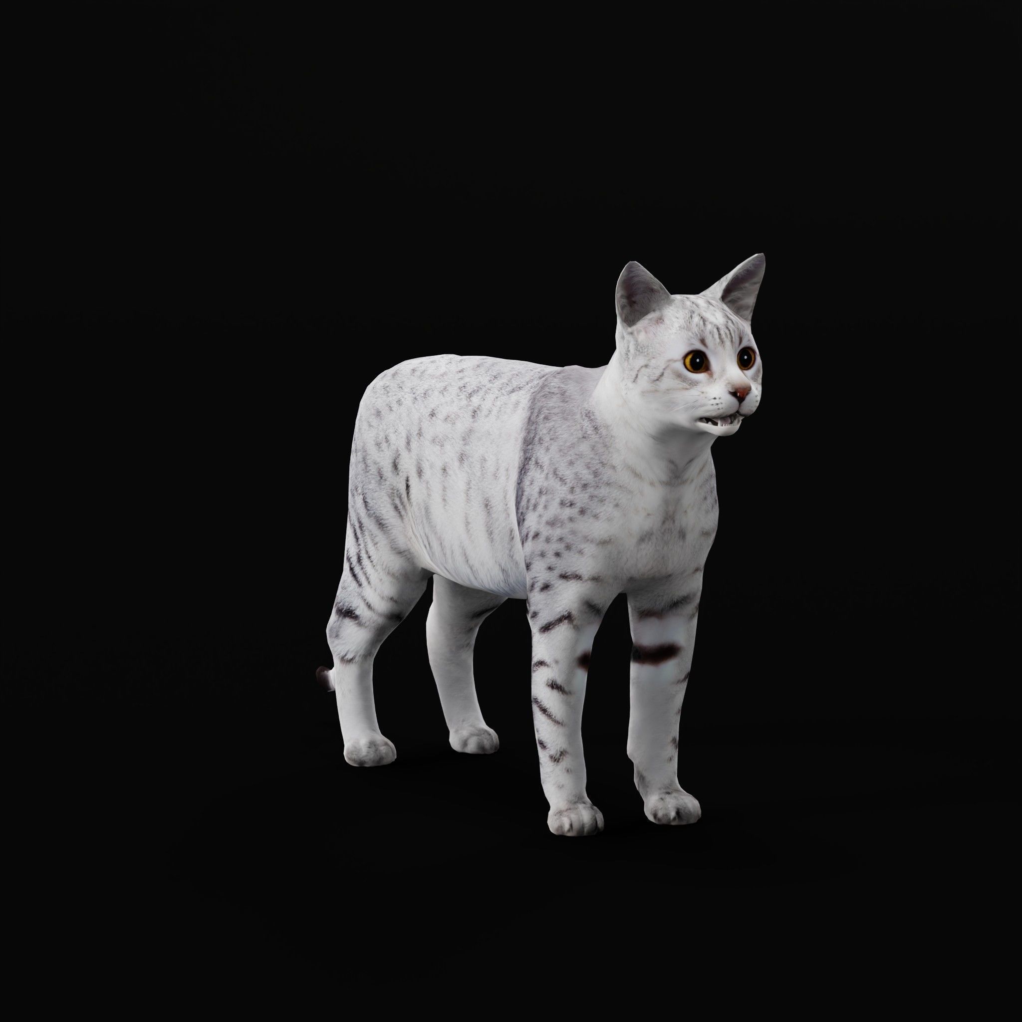 Egyptian Mau Cat Low-poly 3D model_34
