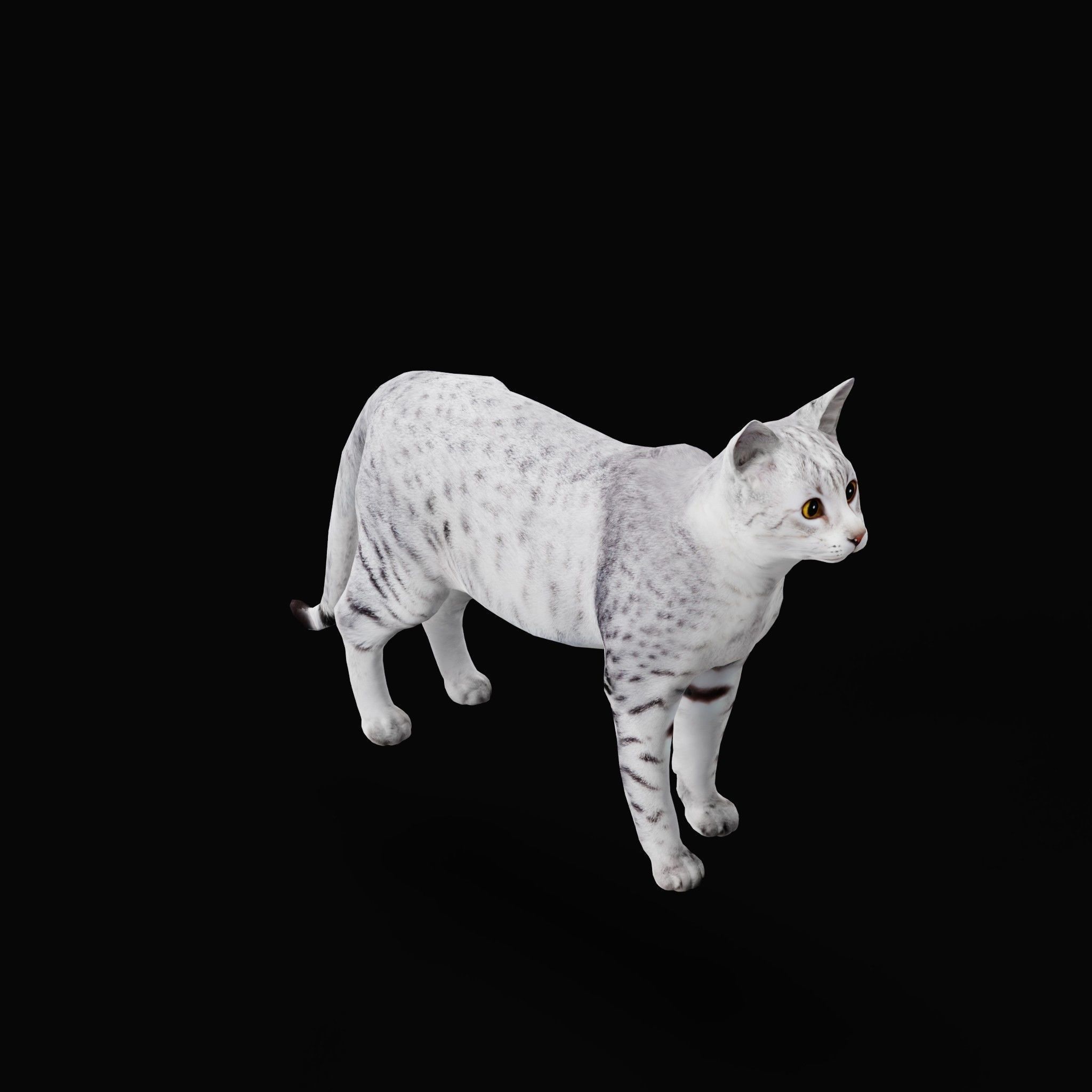 Egyptian Mau Cat Low-poly 3D model_28