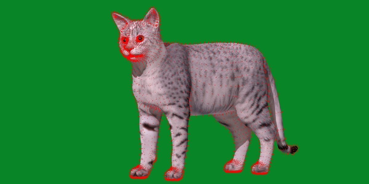Egyptian Mau Cat Low-poly 3D model_11