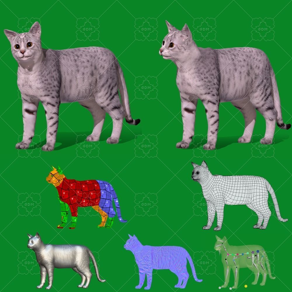 Egyptian Mau Cat Low-poly 3D model_2