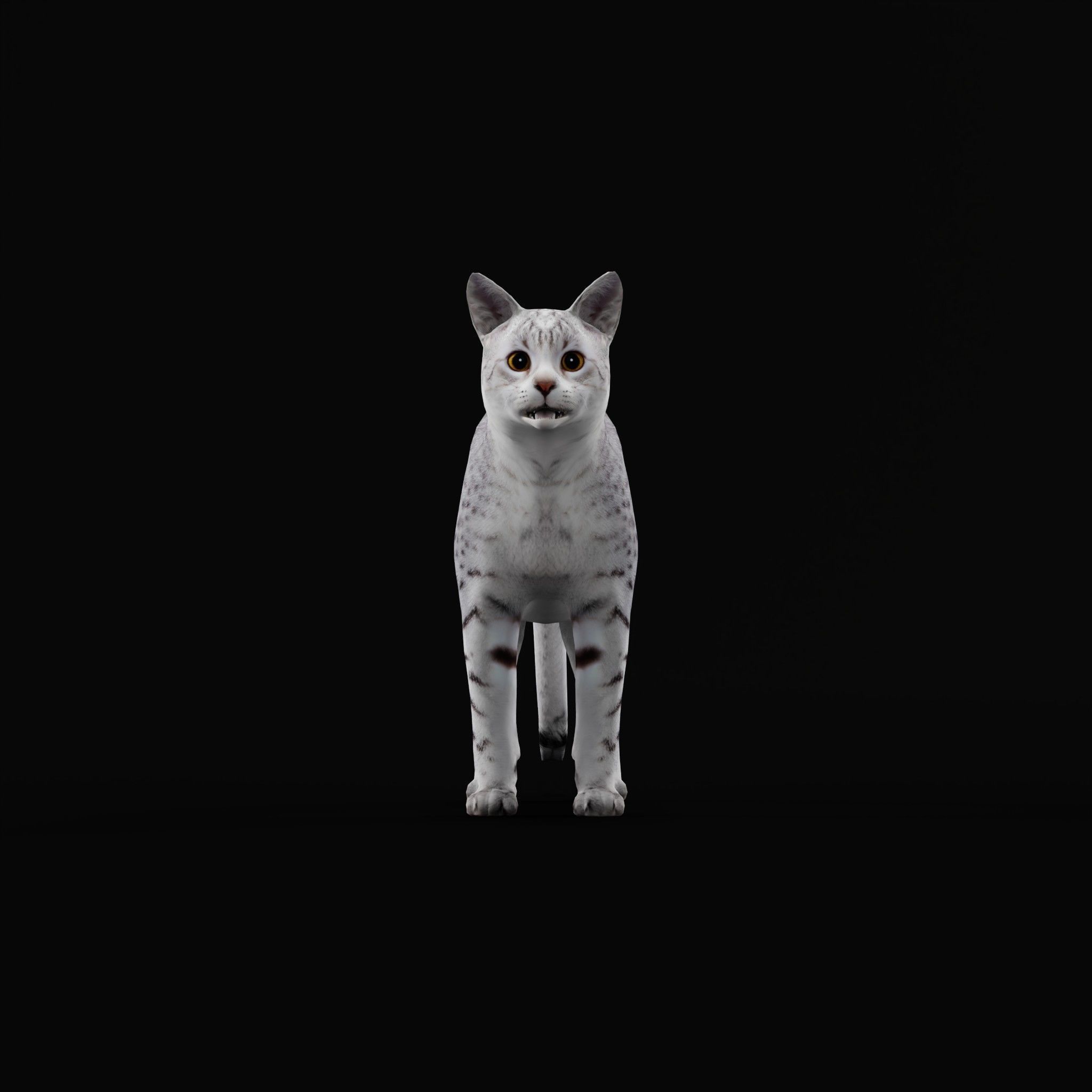 Egyptian Mau Cat Low-poly 3D model_33