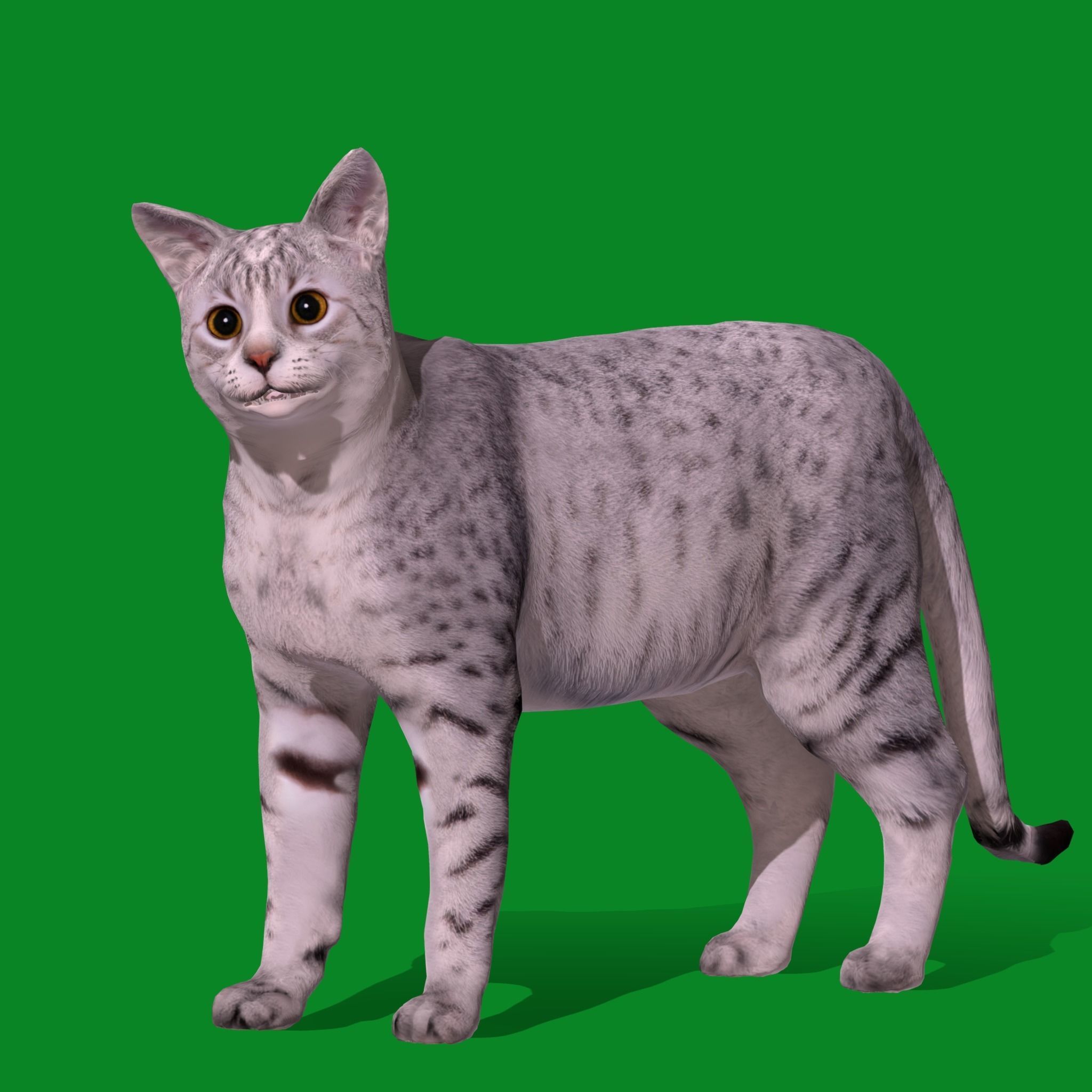 Egyptian Mau Cat Low-poly 3D model_18