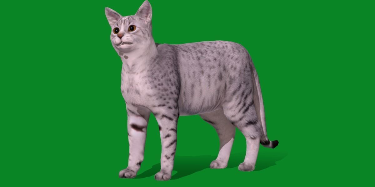 Egyptian Mau Cat Low-poly 3D model_14
