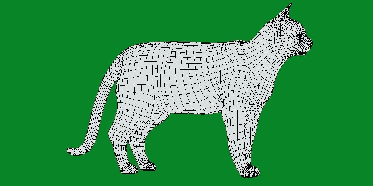 Egyptian Mau Cat Low-poly 3D model_10