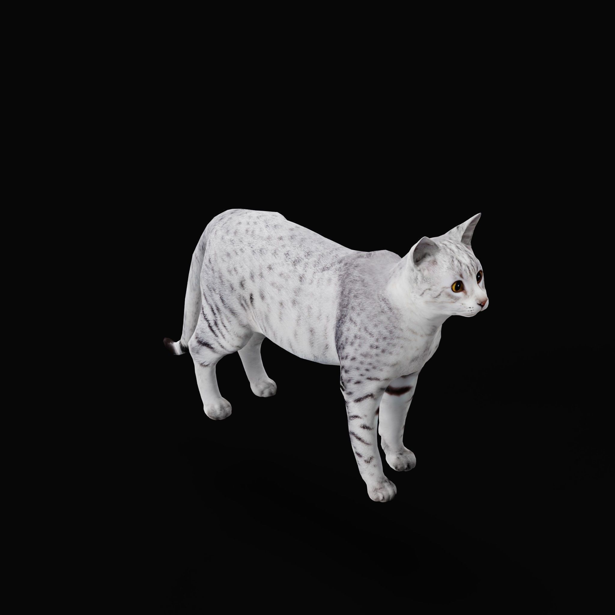 Egyptian Mau Cat Low-poly 3D model_29