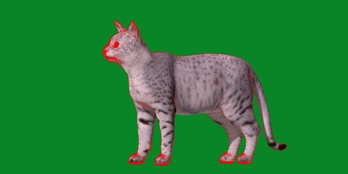 Egyptian Mau Cat Low-poly 3D model_13
