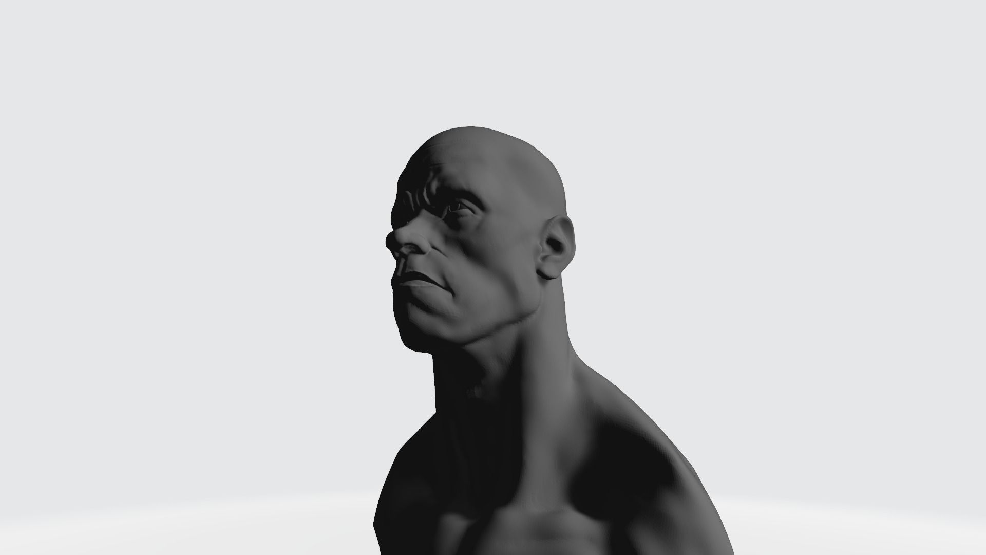 Arnold 3DPrint Bust 3D print model_6