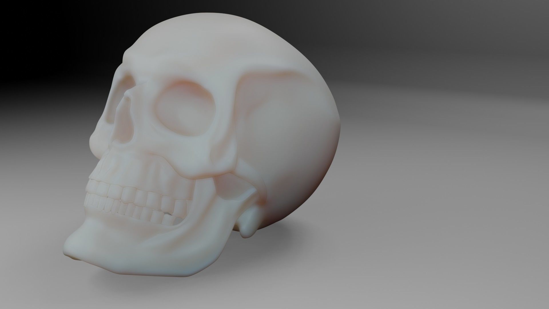 Skull 3D 3D model_2