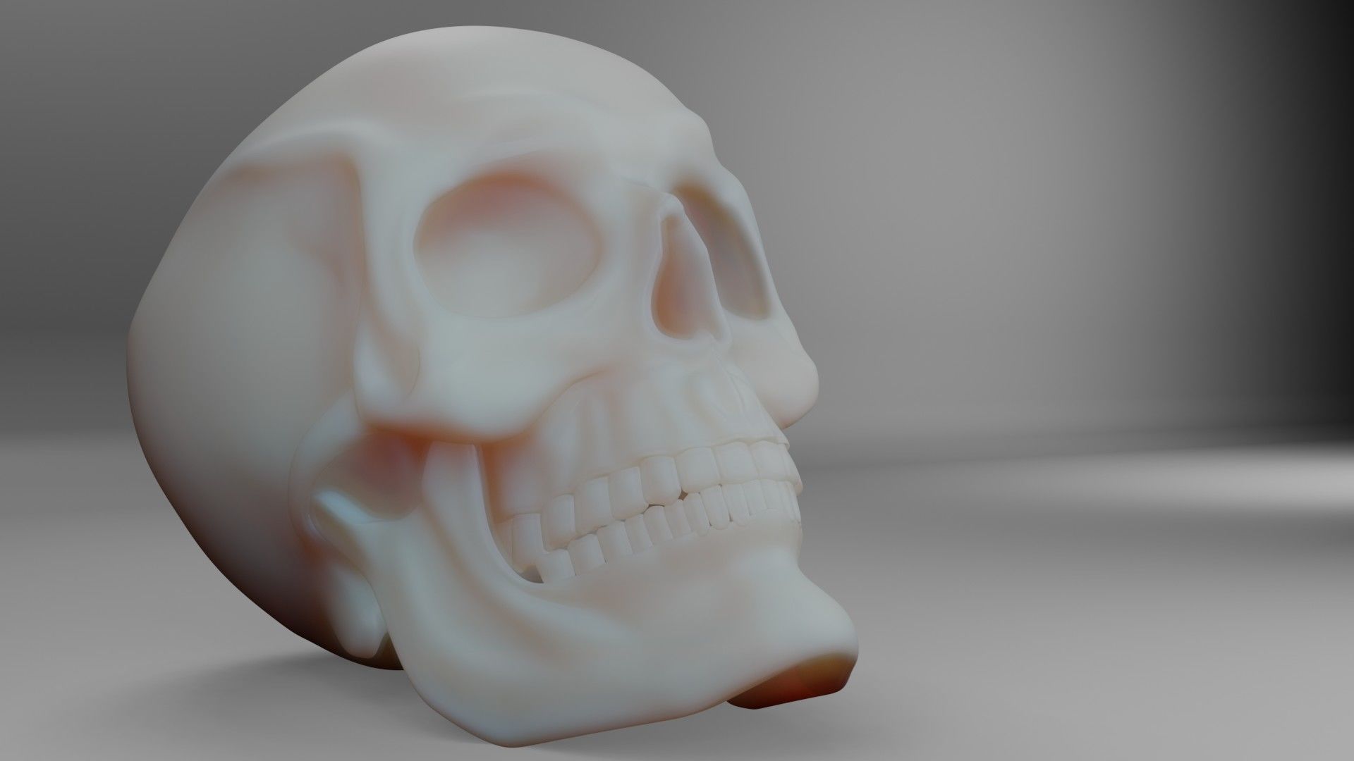 Skull 3D 3D model_3
