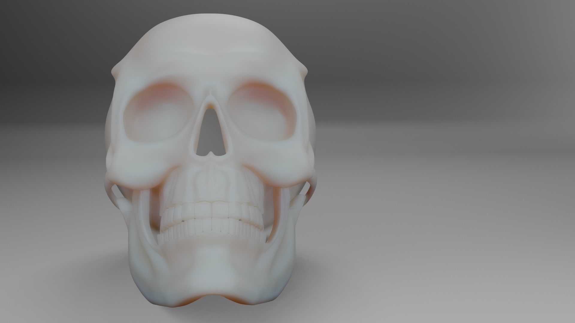 Skull 3D 3D model_1