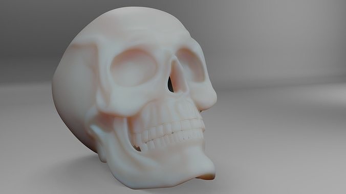 Skull 3D 3D model