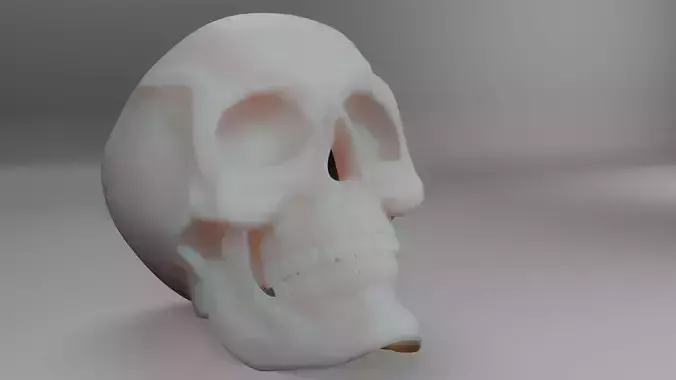 Skull 3D