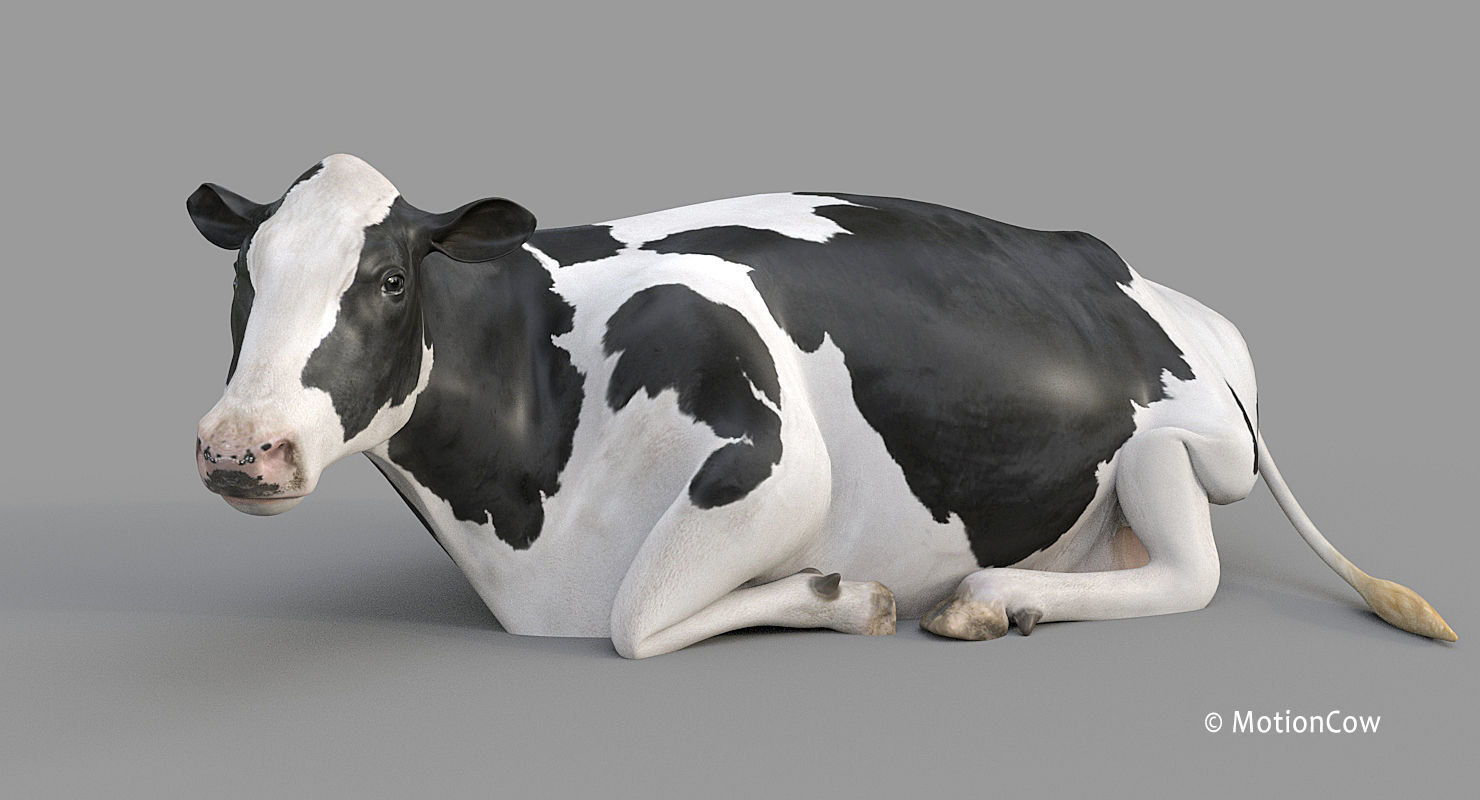 Cow PRO - 3 in 1 Bundle 3D model_28