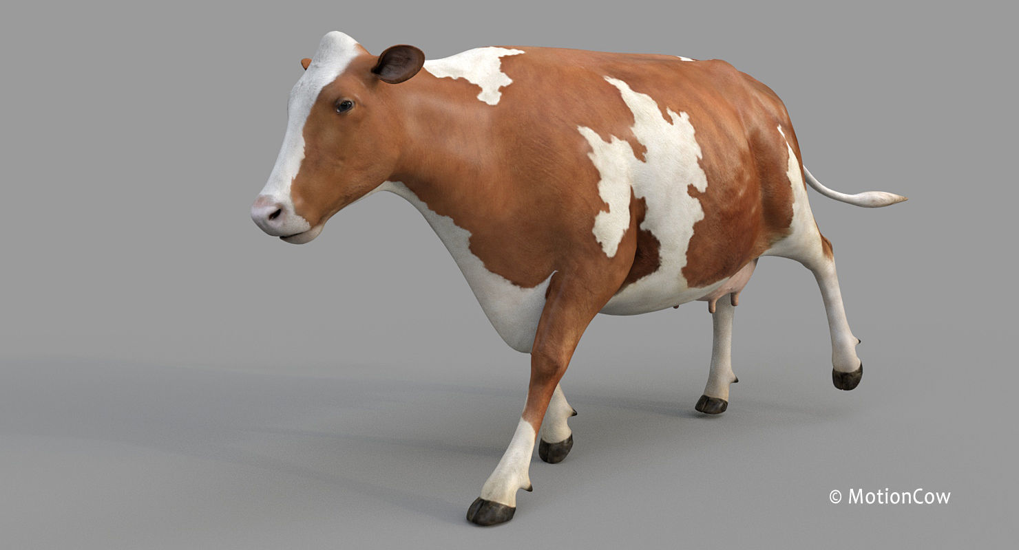 Cow PRO - 3 in 1 Bundle 3D model_33