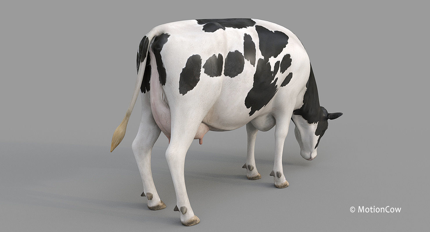Cow PRO - 3 in 1 Bundle 3D model_34