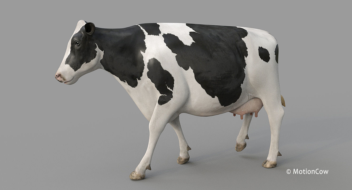 Cow PRO - 3 in 1 Bundle 3D model_16