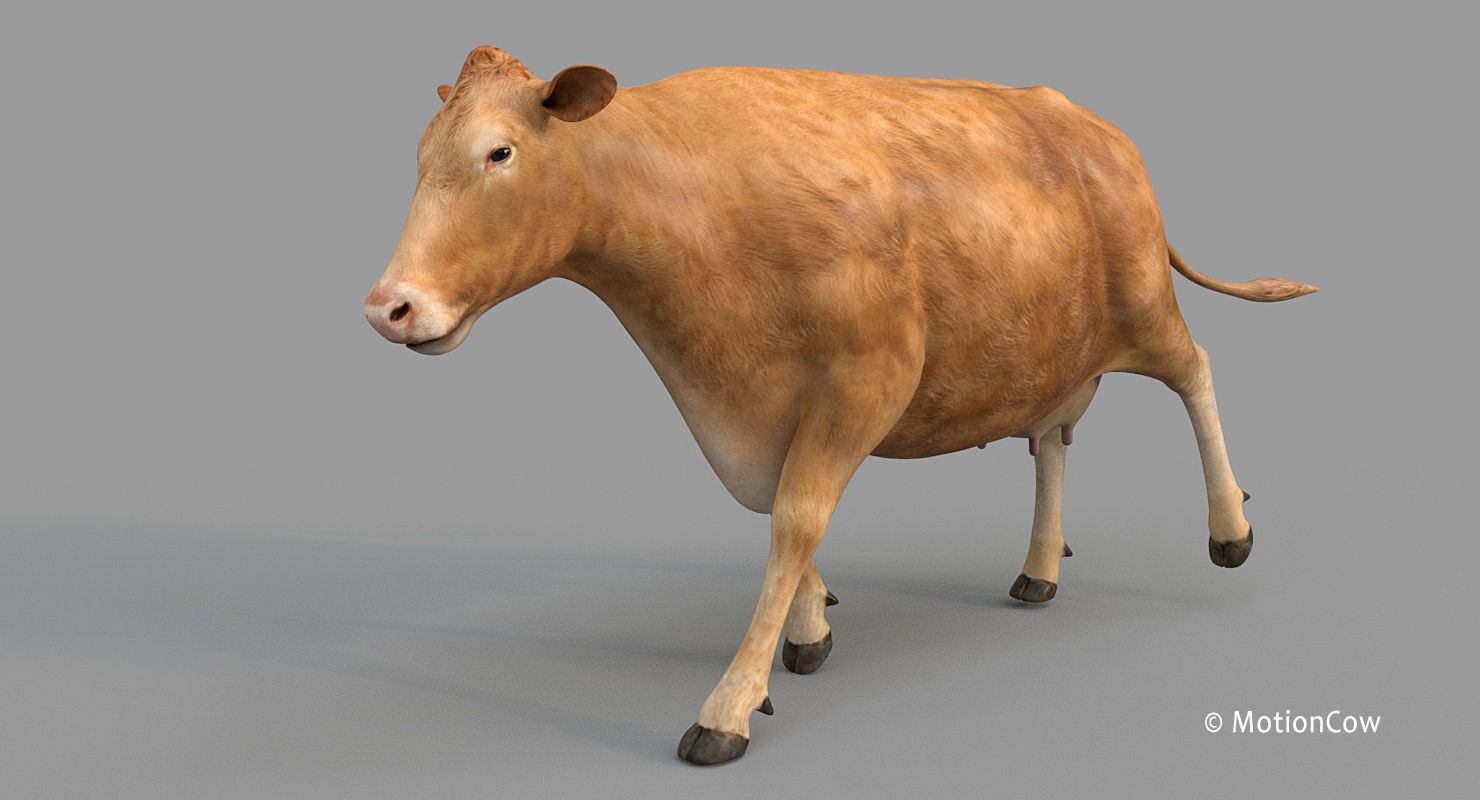 Cow PRO - 3 in 1 Bundle 3D model_32