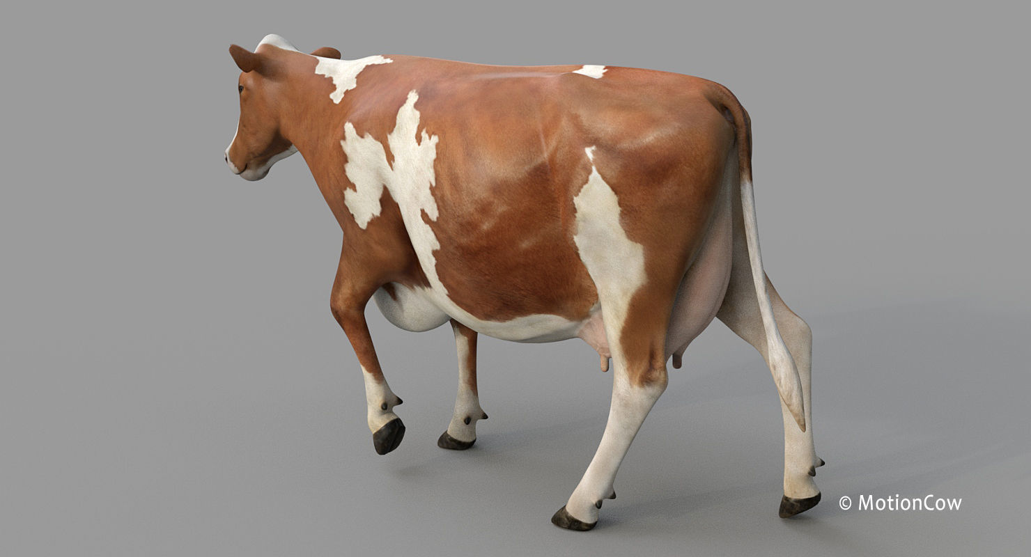 Cow PRO - 3 in 1 Bundle 3D model_15