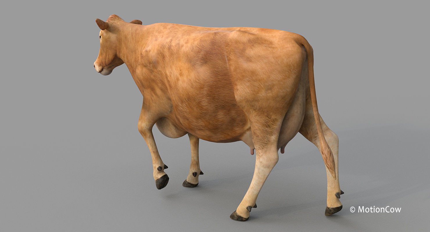 Cow PRO - 3 in 1 Bundle 3D model_14
