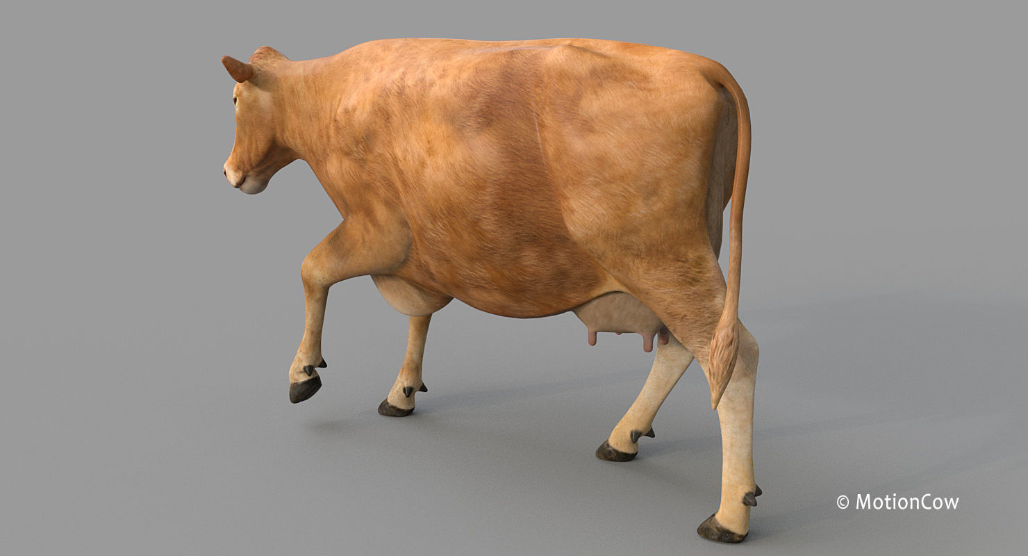 Cow PRO - 3 in 1 Bundle 3D model_26