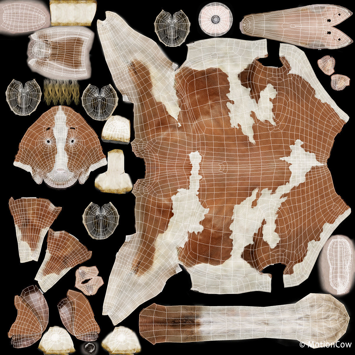 Cow PRO - 3 in 1 Bundle 3D model_49