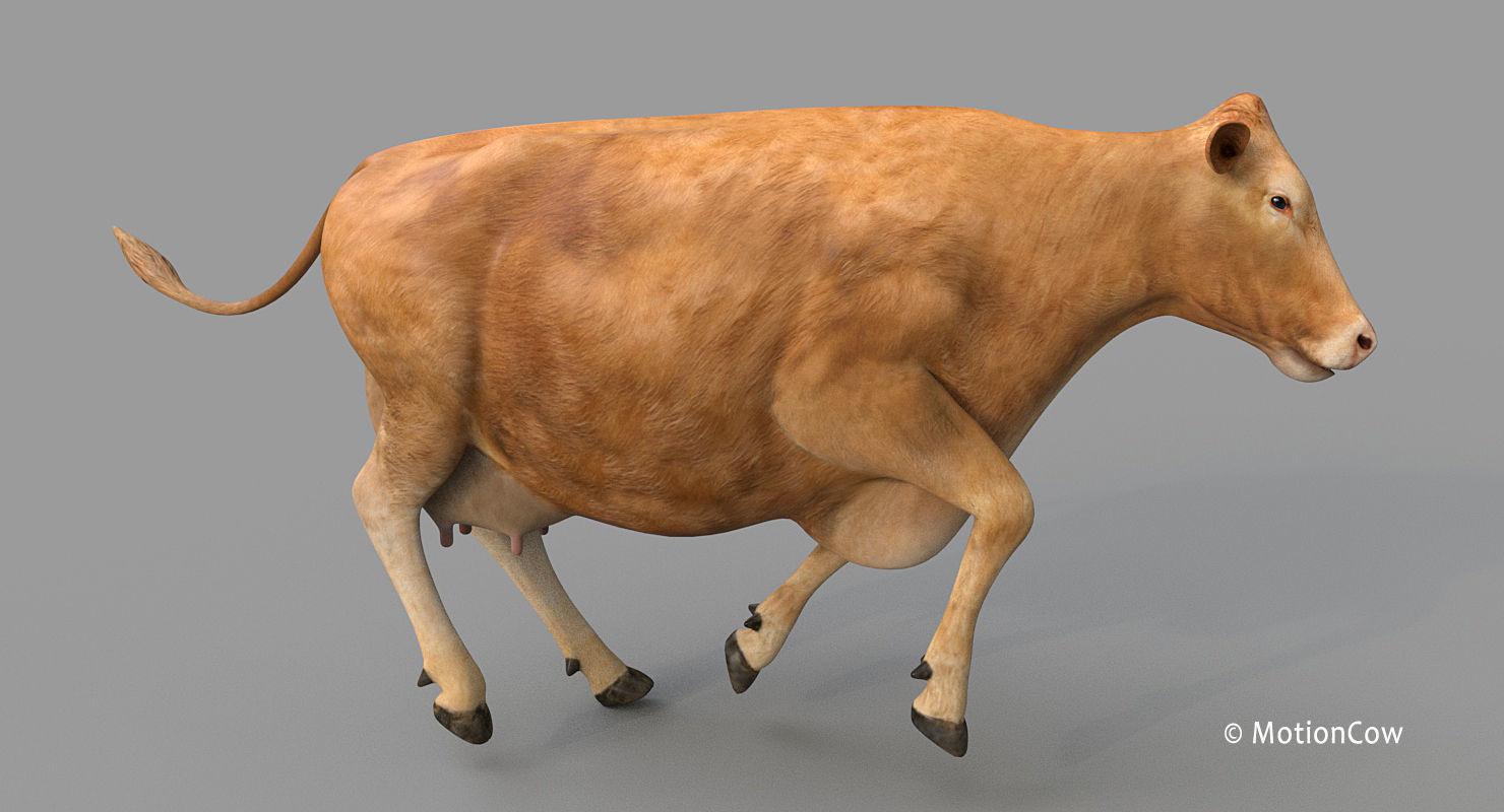 Cow PRO - 3 in 1 Bundle 3D model_23