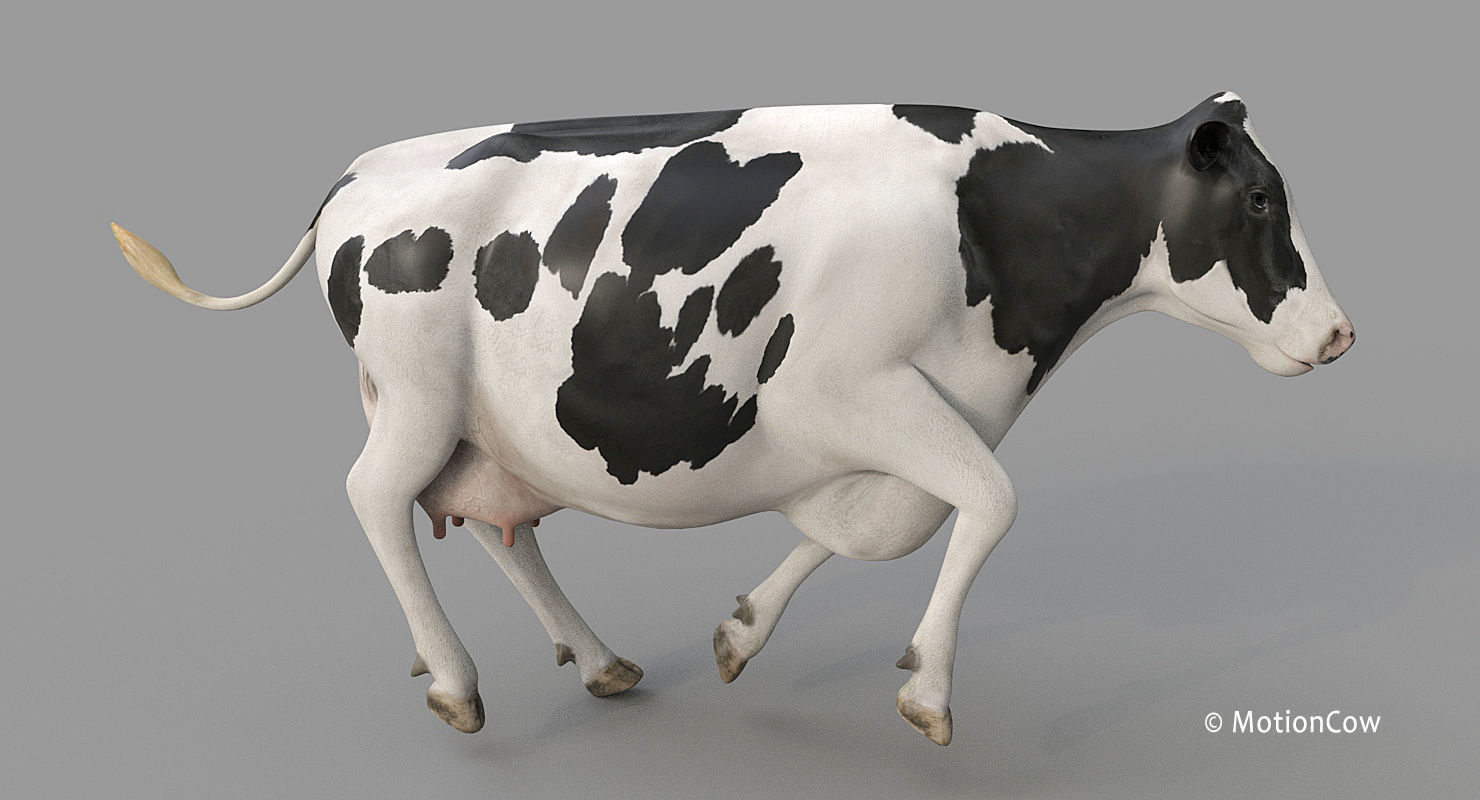 Cow PRO - 3 in 1 Bundle 3D model_22