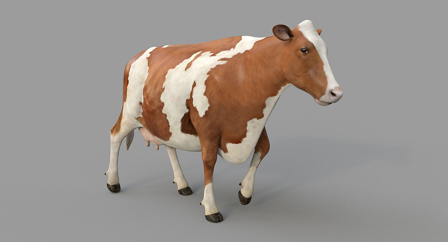 Cow PRO - 3 in 1 Bundle 3D model_6