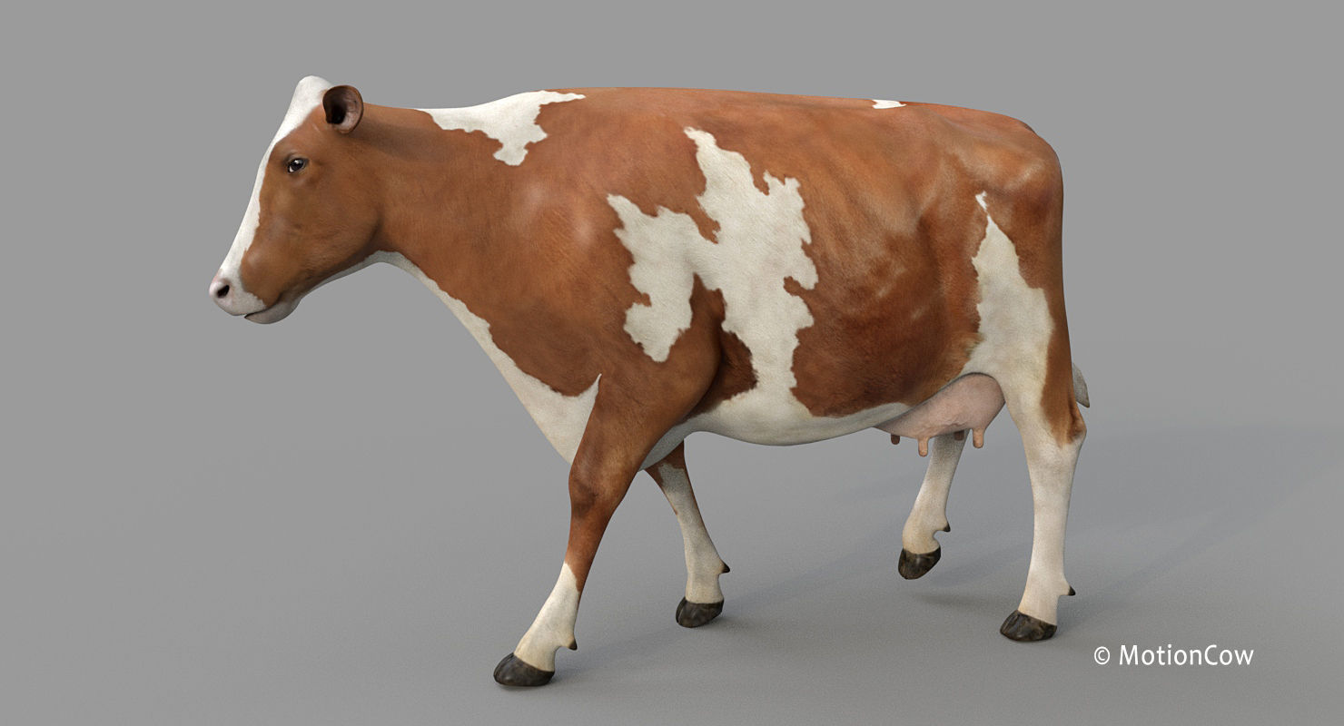 Cow PRO - 3 in 1 Bundle 3D model_18
