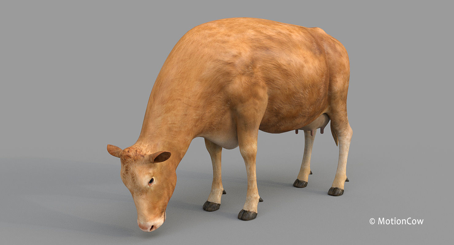 Cow PRO - 3 in 1 Bundle 3D model_38