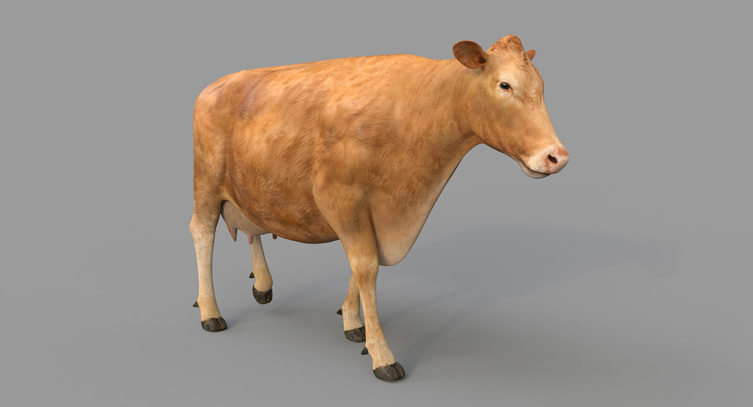 Cow PRO - 3 in 1 Bundle 3D model_5
