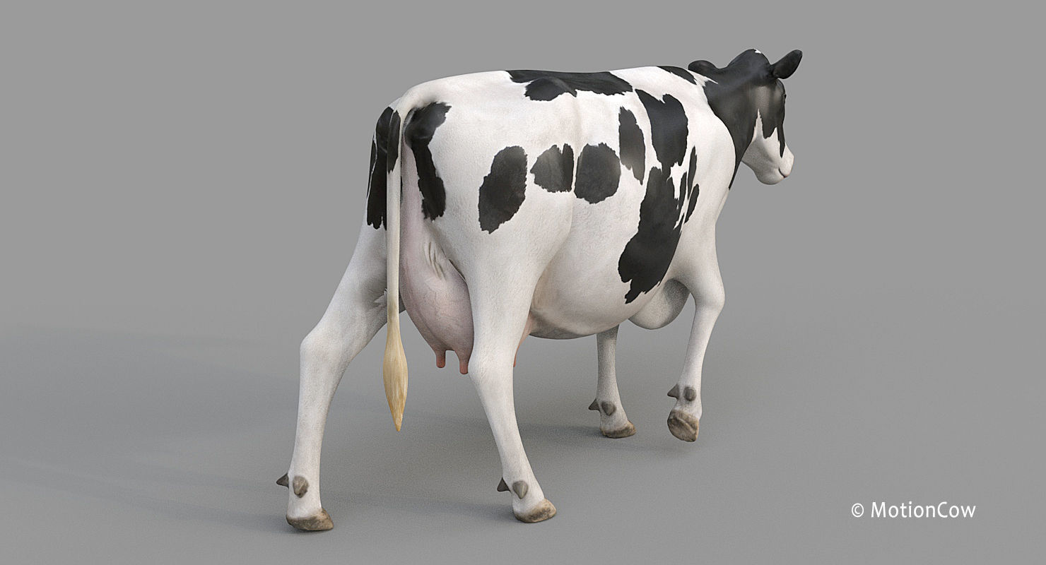 Cow PRO - 3 in 1 Bundle 3D model_10