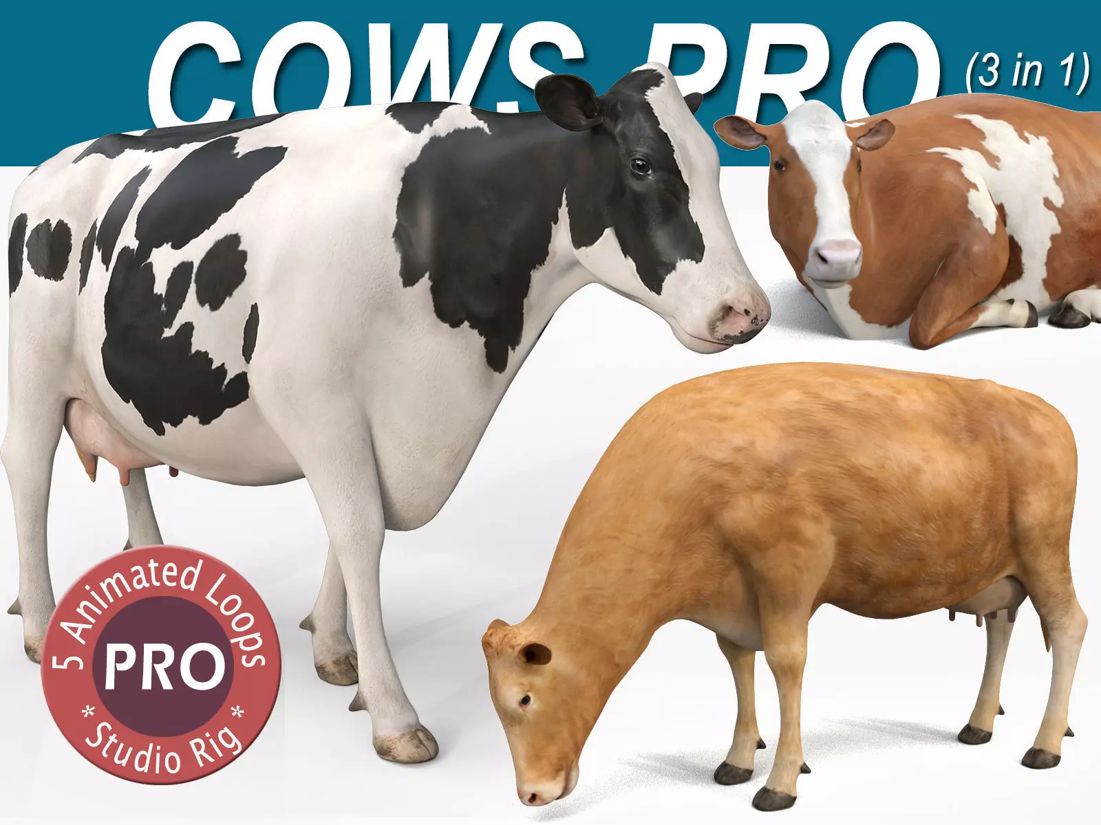 Cow PRO - 3 in 1 Bundle 3D model_0