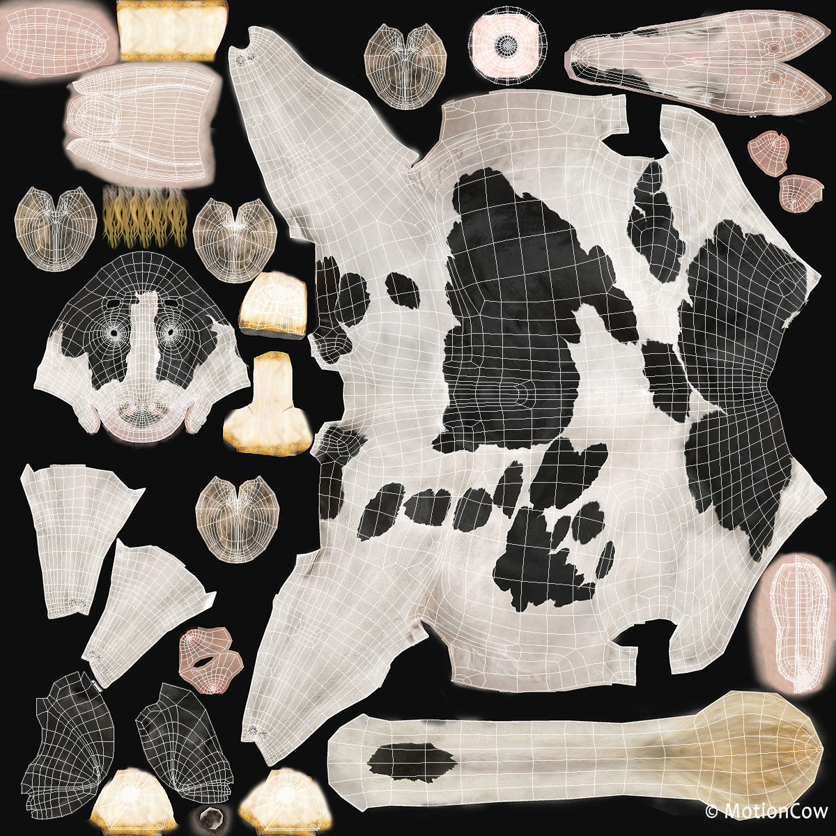 Cow PRO - 3 in 1 Bundle 3D model_47