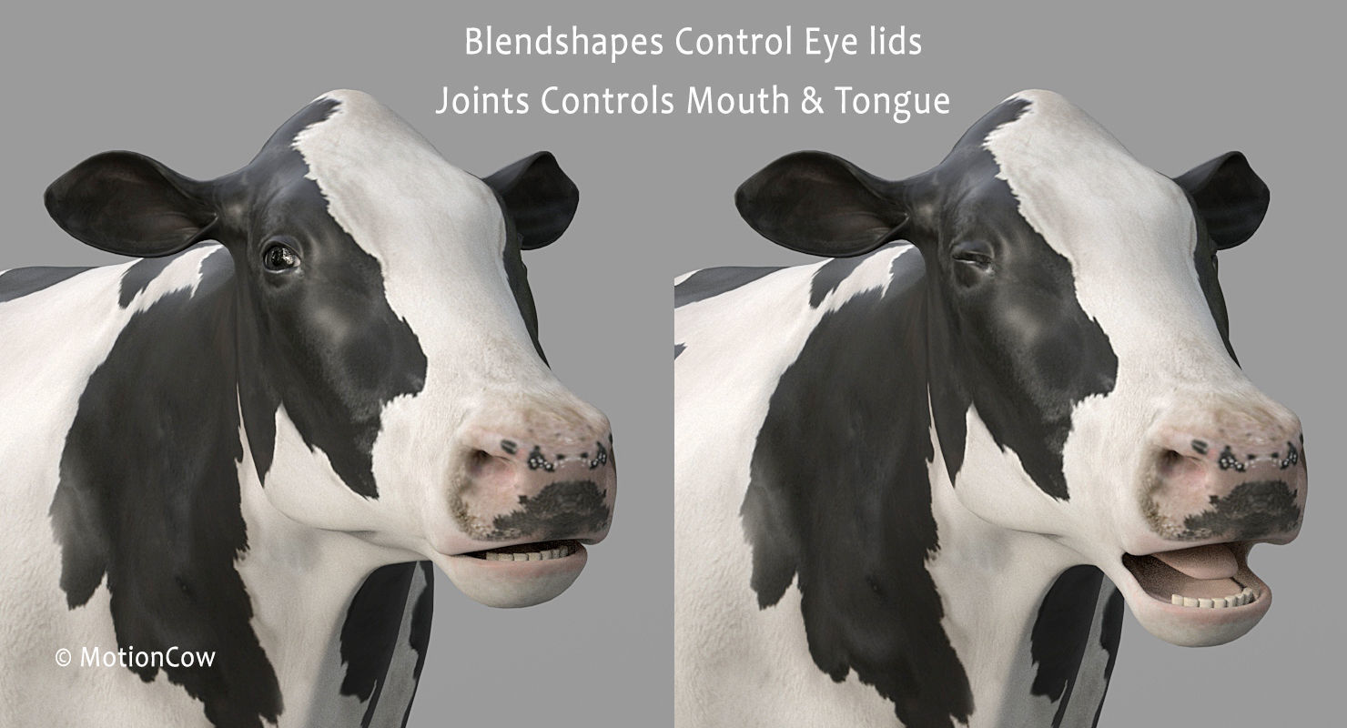Cow PRO - 3 in 1 Bundle 3D model_19