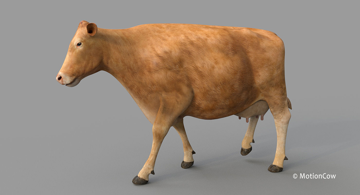Cow PRO - 3 in 1 Bundle 3D model_17