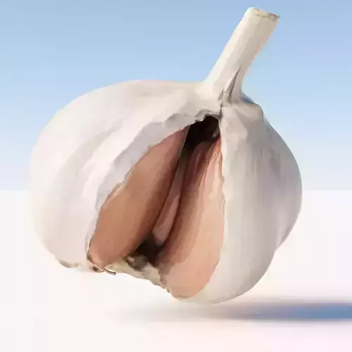 Scanned fresh garlic