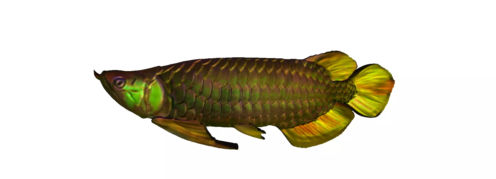 Red Fish Free 3D print model